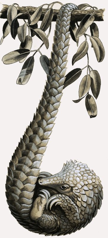 by R.B. Davis