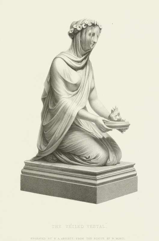 ವೇಲ್ಡ್ ವೆಸ್ಟಲ್ ಟರ್ಕ್ by Raffaello Monti