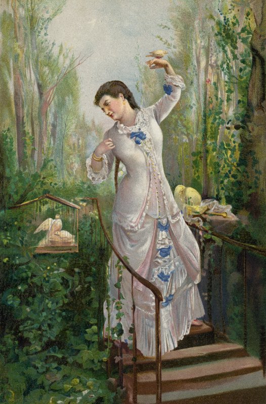 Kaplumbağa Güvercin Anası (chromolitho) by Ramón Martí Alsina