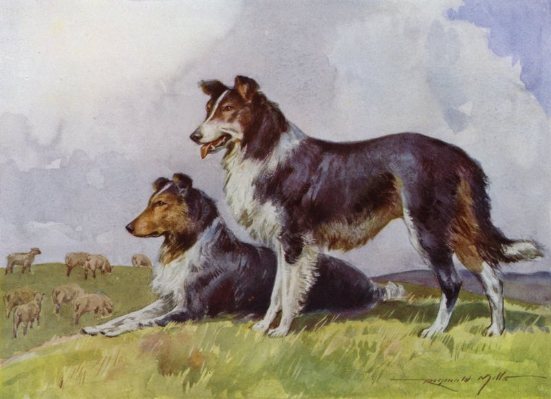 My Farm için İllüstrasyon (renkli lito) by Reginald Mills