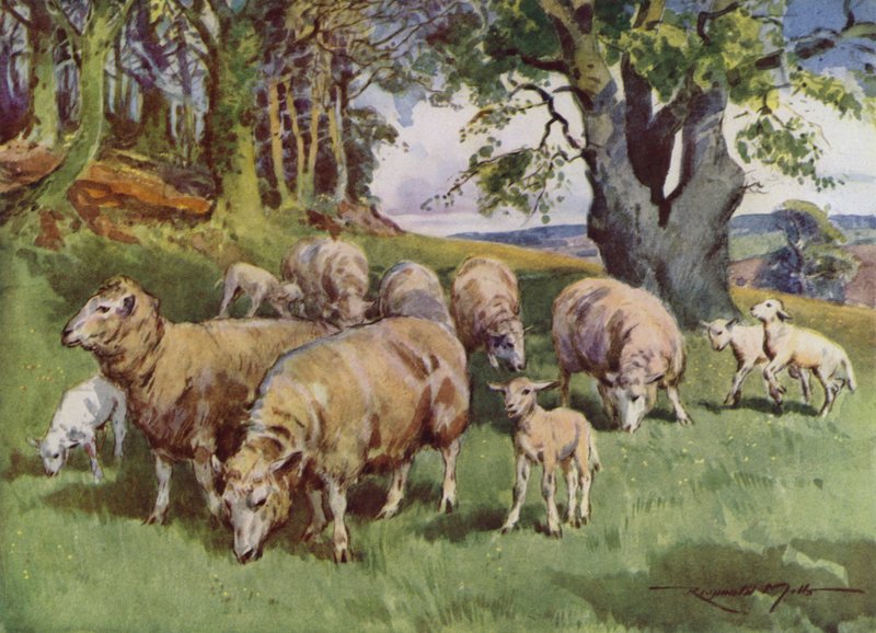 My Farm için İllüstrasyon (renkli lito) by Reginald Mills