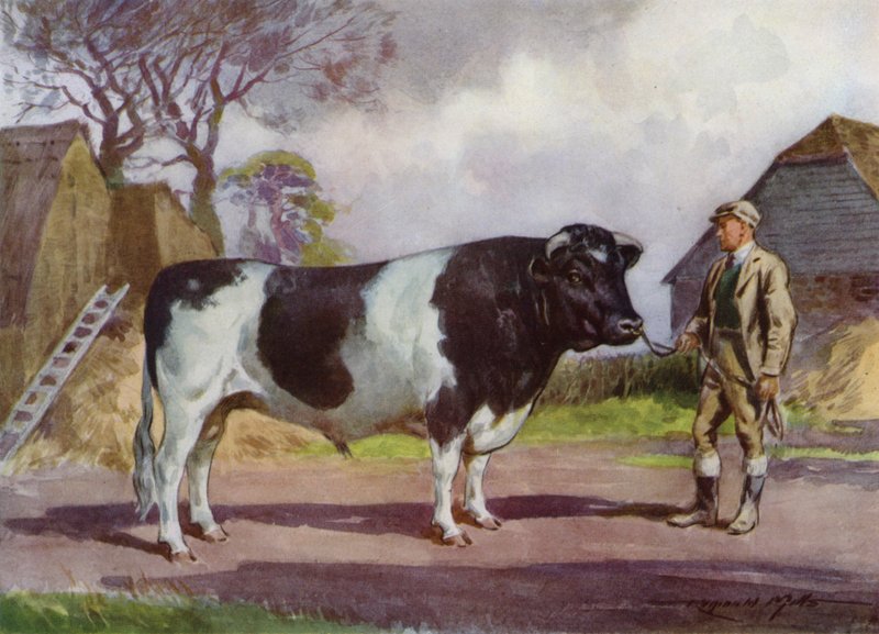 My Farm için İllüstrasyon (renkli lito) by Reginald Mills