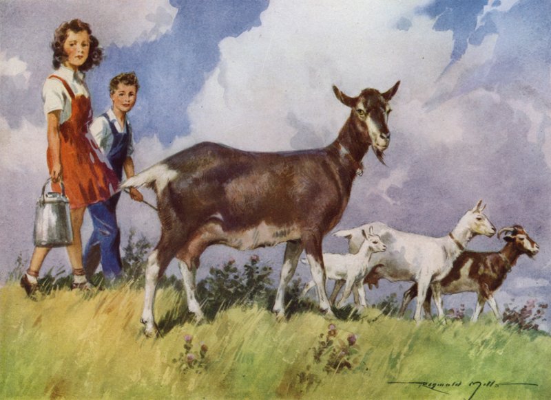 My Farm için İllüstrasyon (renkli lito) by Reginald Mills