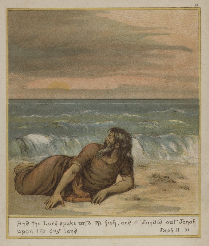 Jonah, kuru toprağa kustu by Richard Andre