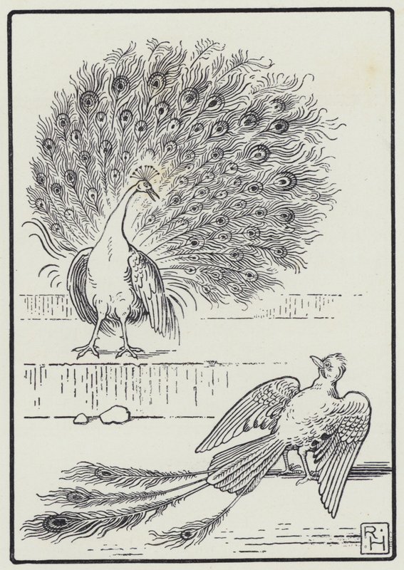 Jay ve Tavus Kuşu (gravür) by Richard Heighway