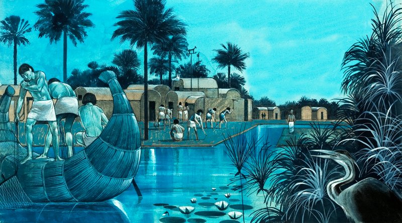  by Richard Hook
