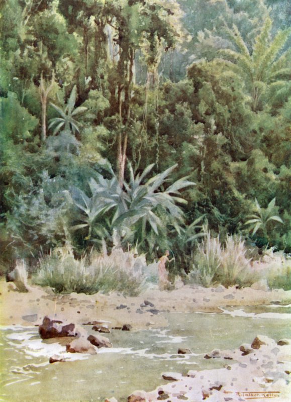 Bir Orman Akışı by Robert George Talbot Kelly