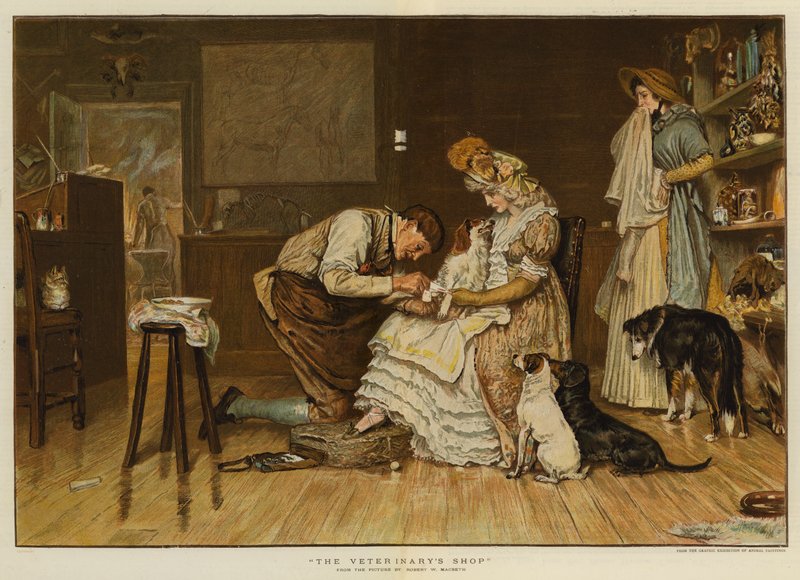 Veteriner Dükkanı (chromolitho) by Robert Walker Macbeth