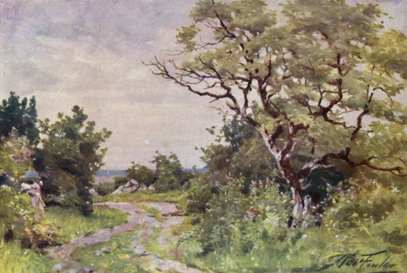 Tarla Yolu, Llanrug yakınında (renkli taş) by Robert (after) Fowler