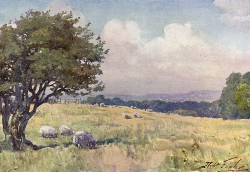 Sunny Field, Llanberis yakınında (renkli taş) by Robert (after) Fowler