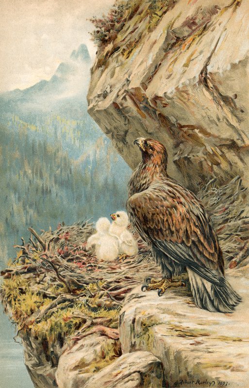 Dağın Çocukları by Robert Morley