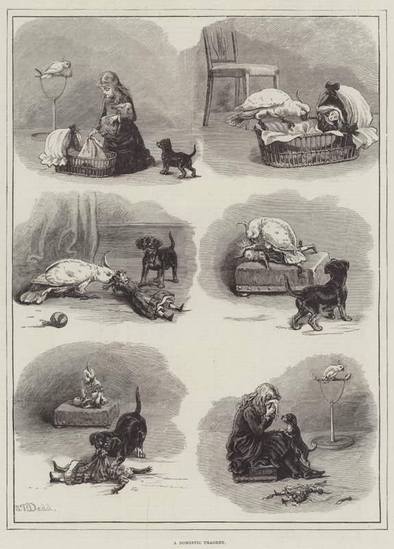 A Domestic Tragedy  by S.T. Dadd