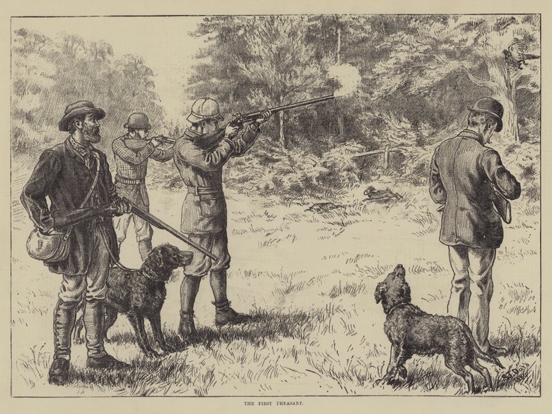 İlk Sülün by S.T. Dadd