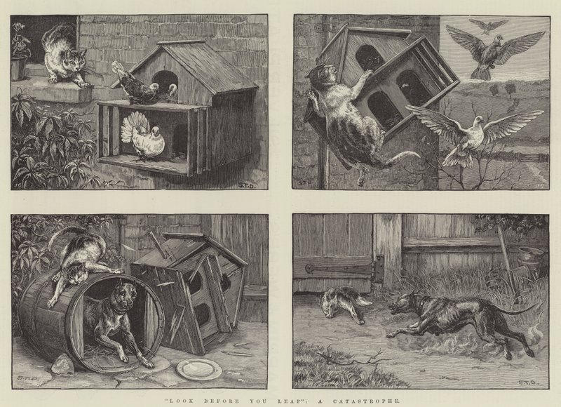 Sıçramadan önce bak, bir Felaket by S.T. Dadd