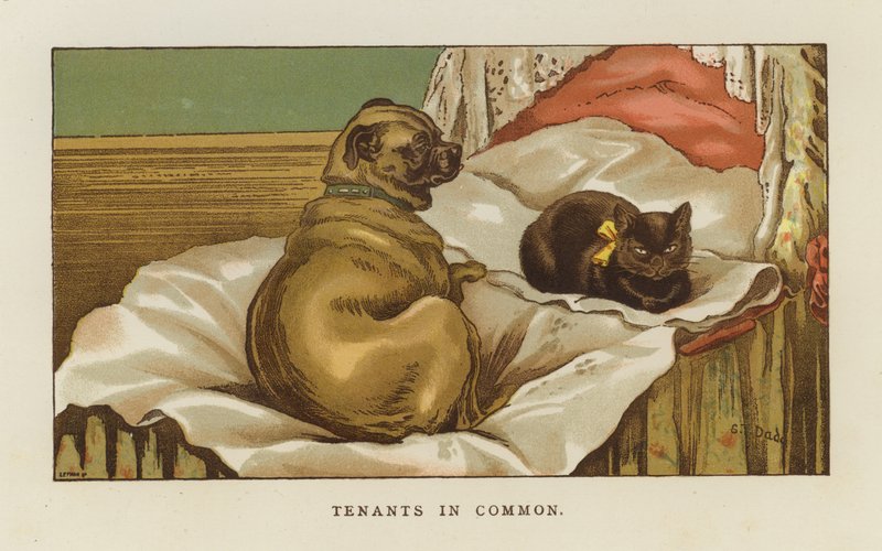 Ortak kiracılar by S.T. Dadd