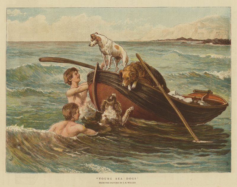 Genç Deniz Köpekleri (chromolitho) by Samuel Edmund Waller