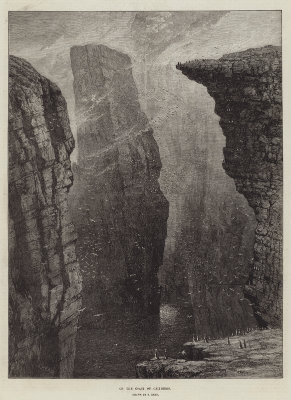 Caithness kıyısında by Samuel Read