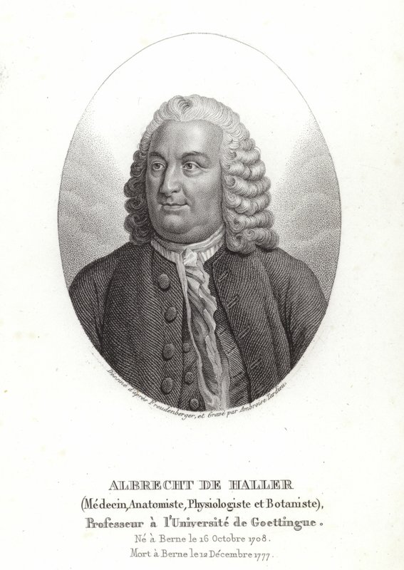 Albrecht von Haller by Sigmund Freudenberger