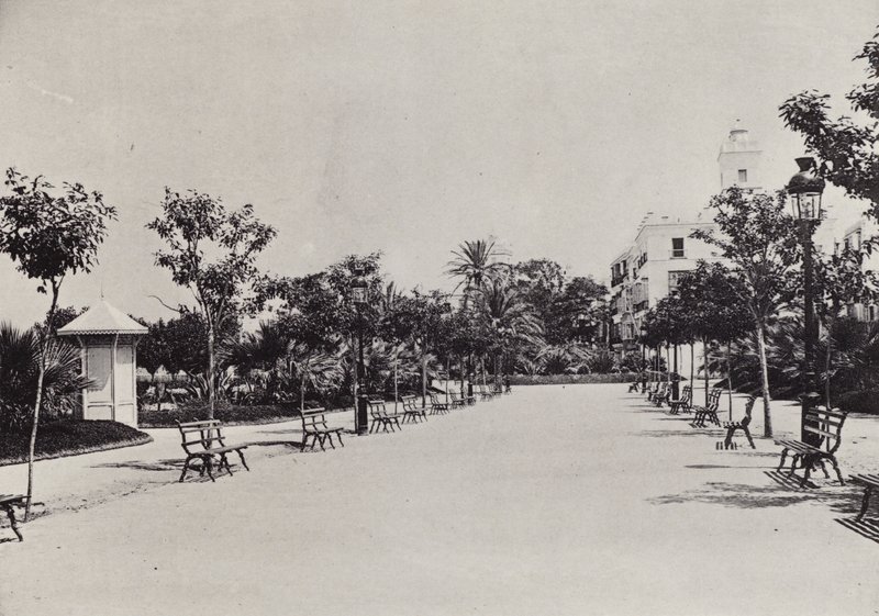 Cadiz: Alameda de Apodaca (s/b fotoğraf) by Spanish Photographer