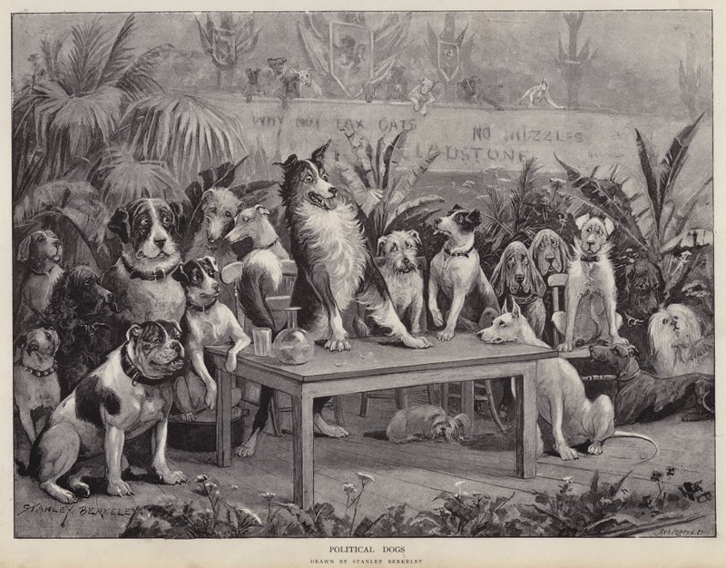 Siyasi Köpekler (lito) by Stanley (after) Berkeley