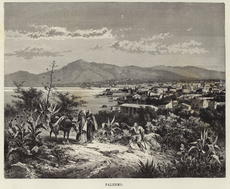 ಪಲೆರ್ಮೊ ಟರ್ಕ್ by Theodore Weber