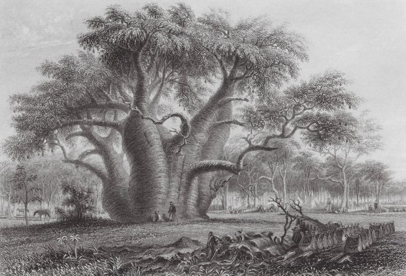  by Thomas (after) Baines