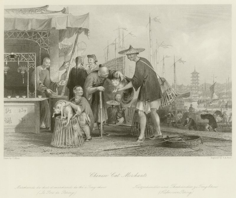 Çinli kedi tüccarları by Thomas Allom