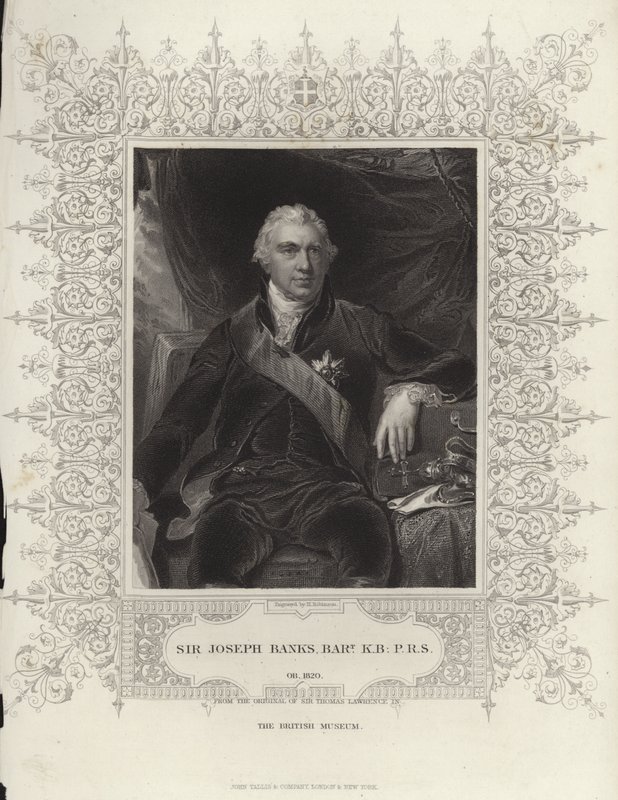 Sir Joseph Banks by Thomas Lawrence