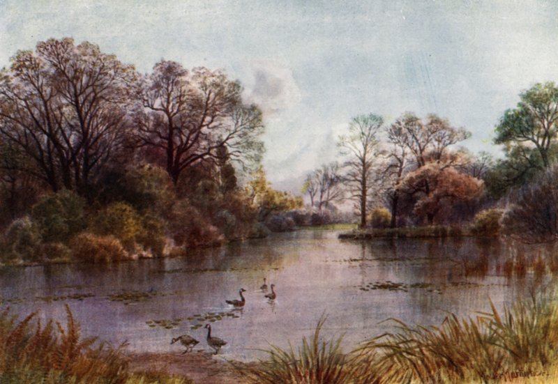 Kew Bahçeleri: Göl (renkli taş) by Thomas Mower Martin
