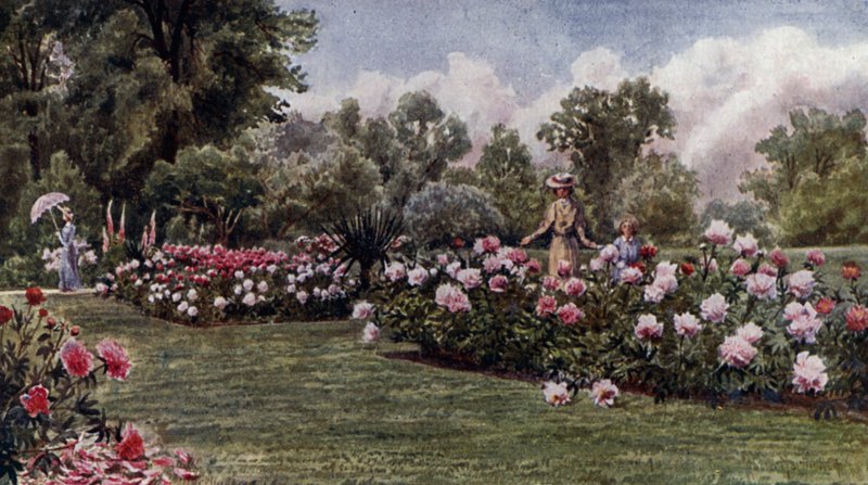 Kew Bahçeleri: Şakayıklar (renkli taş) by Thomas Mower Martin