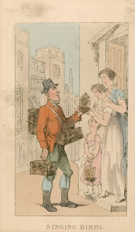 şarkı söyleyen kuşlar by Thomas Rowlandson