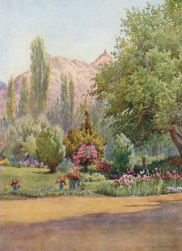 Residency Garden