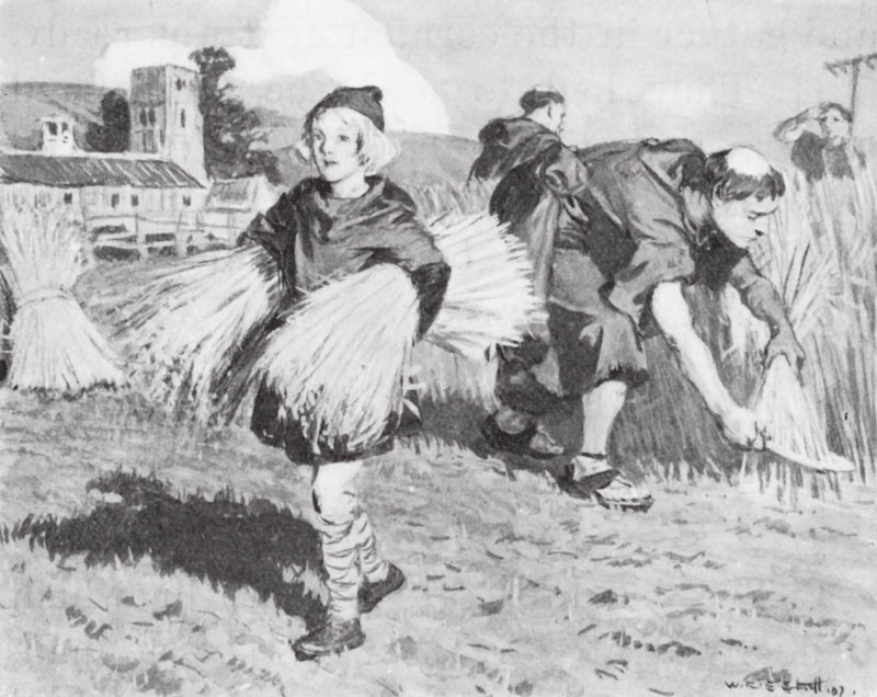  by W.R.S. (after) Stott