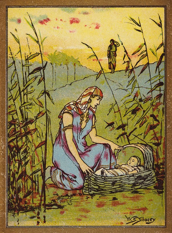  by W.S. Stacey