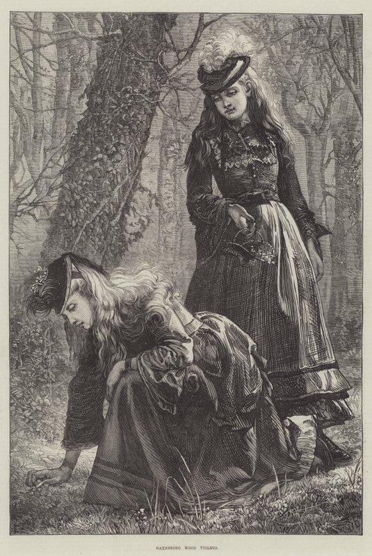 Ahşap Menekşe Toplama by Walter Duncan