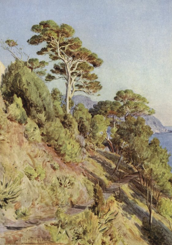 Villa Puma, Sestri Levante by Walter Frederick Roofe Tyndale