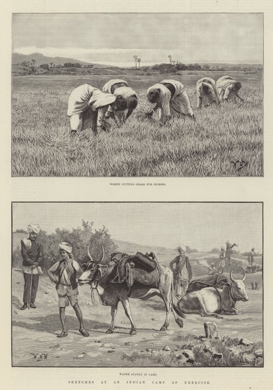 Thomas Curtis; Traustur bankastjóri by William Barnes Wollen
