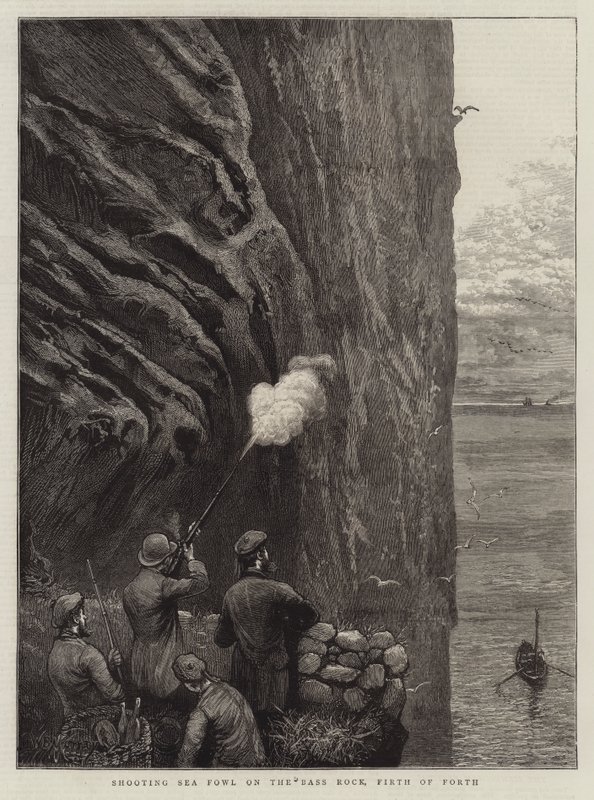 Firth of Forth Bass Rock