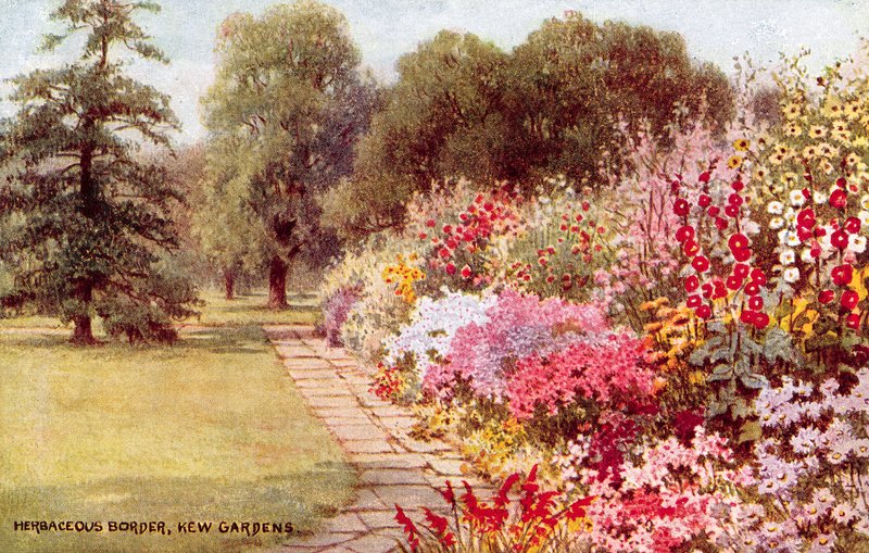Otsu Bordür, Kew Bahçeleri by William Affleck Carruthers