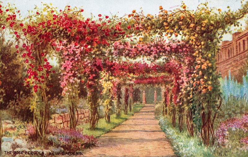 Gül Pergola, Kew Bahçeleri by William Affleck Carruthers