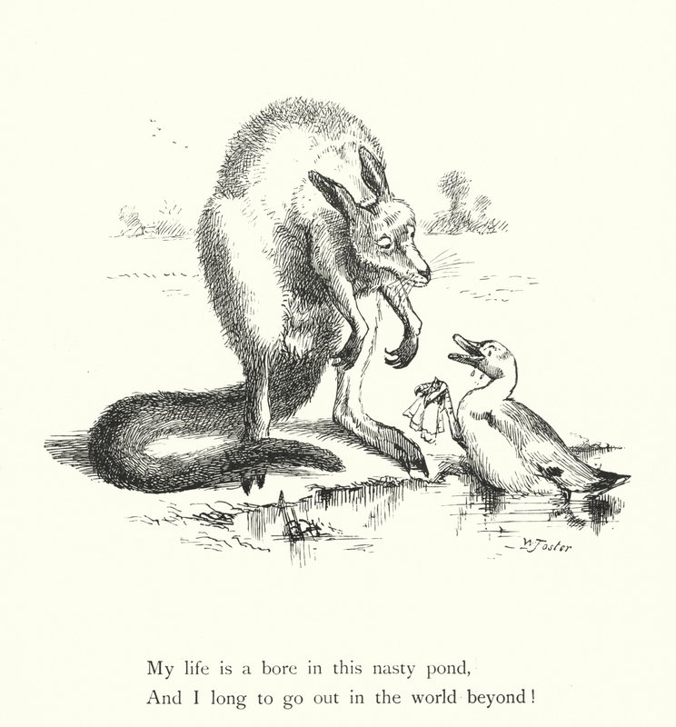 Ördek ve Kanguru (gravür) by William Foster