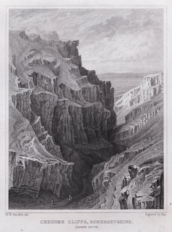 Cheddar Cliffs, Somersetshire, Güney