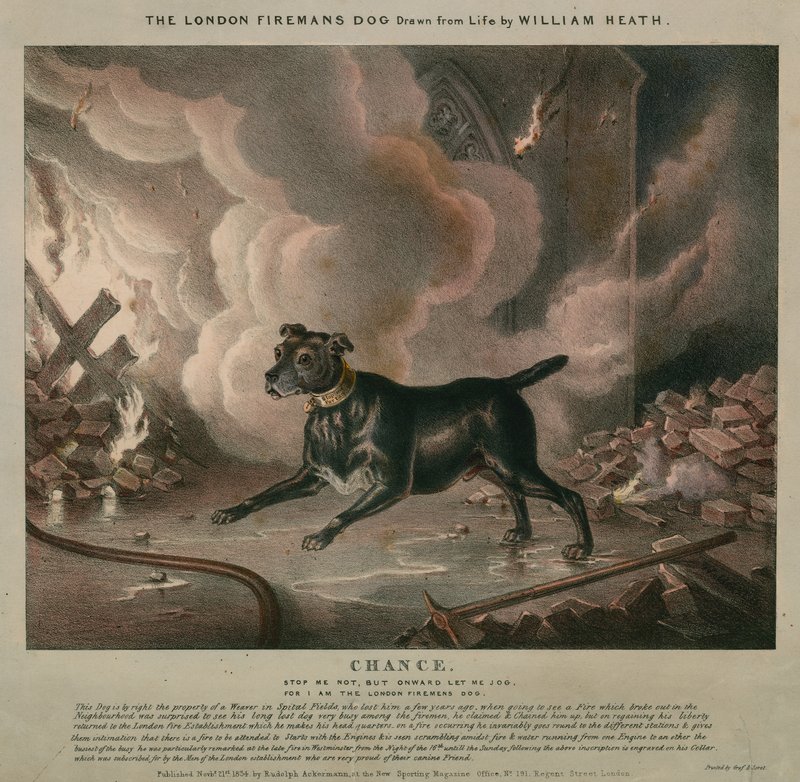Londra itfaiyecisinin köpeği by William Heath