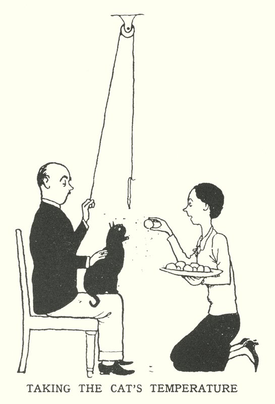 Kedinin Sıcaklığını Almak (lito) by William Heath Robinson
