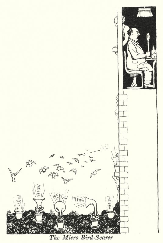 Mikro Kuş Korkutucu (lito) by William Heath Robinson