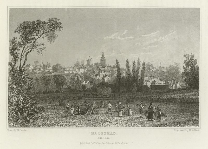 ಹಾಲ್ಸ್ಟೆಡ್, ಎಸೆಕ್ಸ್ ಟರ್ಕ್ by William Henry Bartlett