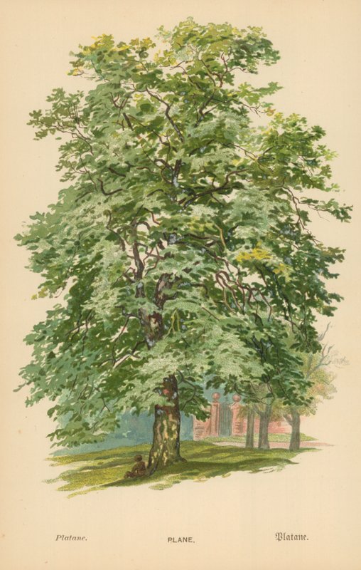 Uçak by William Henry James Boot
