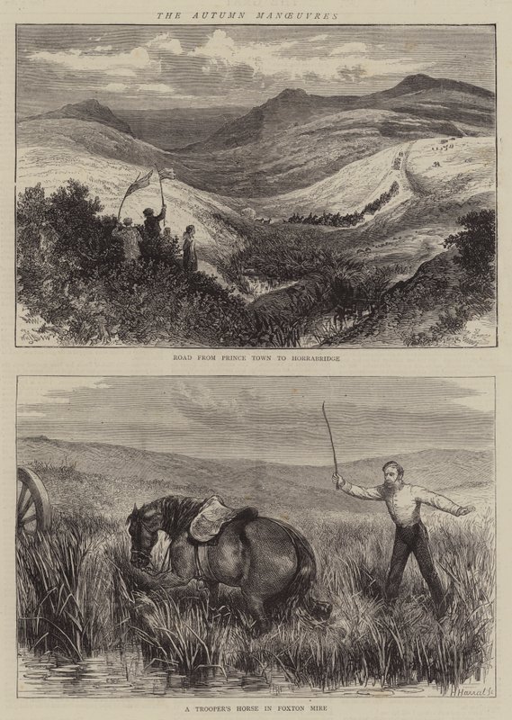 ಶರತ್ಕಾಲ ಕುಶಲ ಟರ್ಕಿ by William Henry James Boot