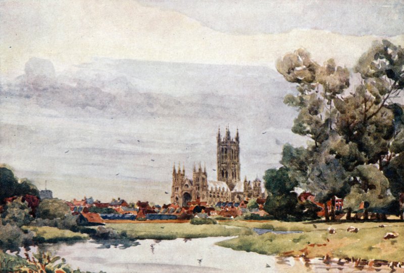 Meadows