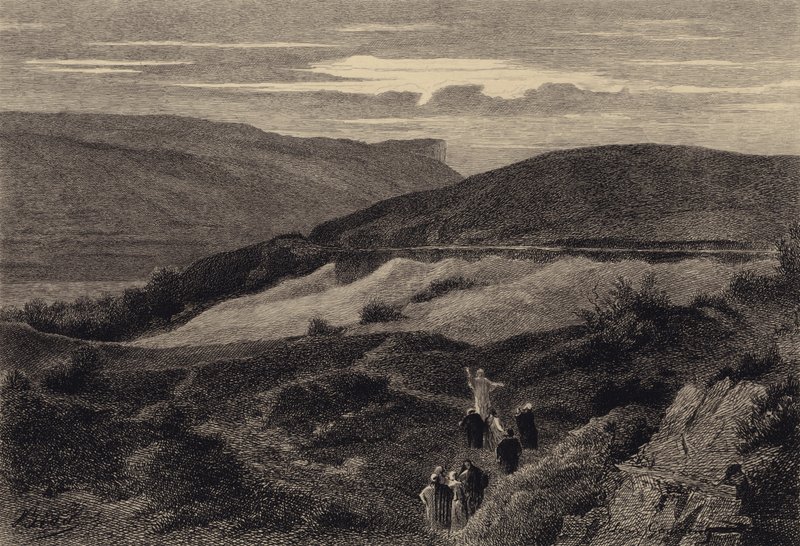Zambakları nasıl büyüdüklerini düşünün by after Albert Robida